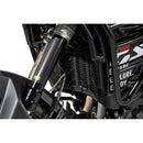 Radiator Guard Protector - BMW F900GS