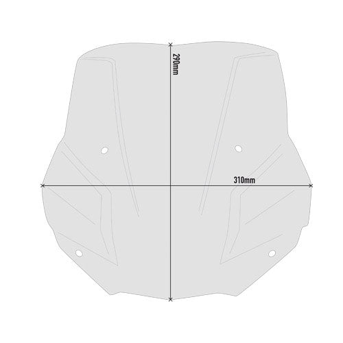 Windshield - BMW F900R 20-