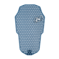 Rogue Level 1 Back Pad