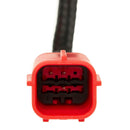 HEX ezCAN Laconia - Harley-Davidson RA1250 Pan-America