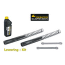 Ressorts Progressifs de Fourche & Amortisseur Standard & Abaissement 25mm - Harley-Davidson RA1250 Pan-America