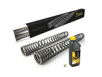 Progressive fork springs for KTM 790 Adventure