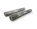 Progressive Replacement Springs For Fork/Shock Absorber for Yamaha 700 Tenere (2025+