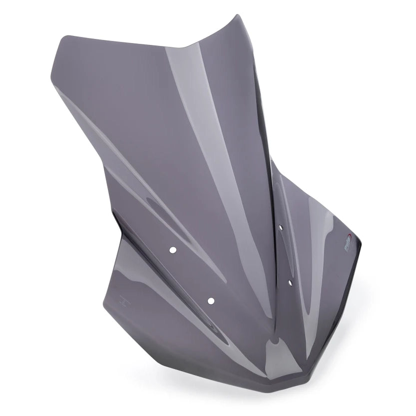 Windshield Touring - BMW R1300GS without Radar