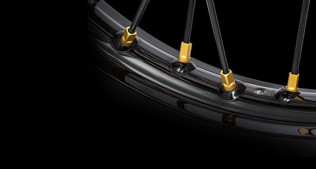 spokes-haanwheels.jpg