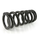 Progressive Front & Rear Springs for Original Shocks with ESA - BMW R1200GSA 14-19