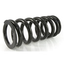 Progressive Fork & Shock Springs - BMW F650GS 00-07