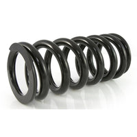 Progressive Fork & Shock Springs Standard & 30mm Lowering - KTM Adventure R 890 & Norden 901 Expedition