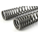 Progressive Fork Springs Standard & 30mm Lowering - KTM Adventure R 790, 890